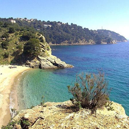 "Ti Sable" Agreable Studio Climatise, Jolie Vue Mer, Piscine A Cavalaire Sur Mer Golfe De St-Tropez 외부 사진