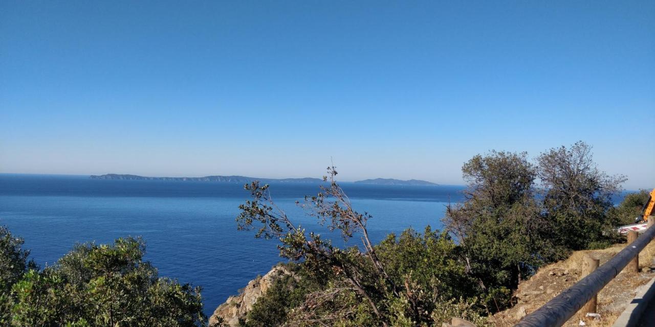 "Ti Sable" Agreable Studio Climatise, Jolie Vue Mer, Piscine A Cavalaire Sur Mer Golfe De St-Tropez 외부 사진