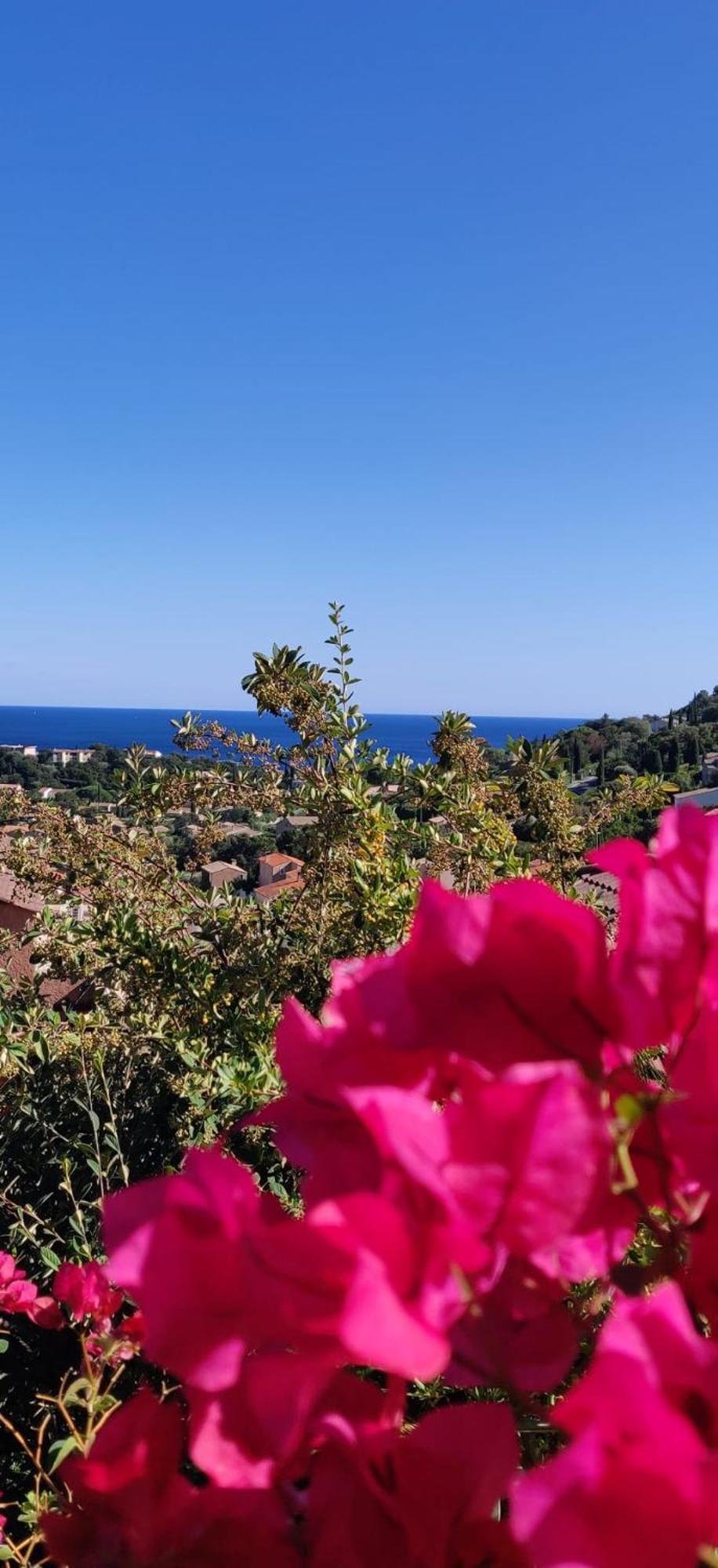 "Ti Sable" Agreable Studio Climatise, Jolie Vue Mer, Piscine A Cavalaire Sur Mer Golfe De St-Tropez 외부 사진